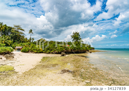 ザンジバルの海岸(タンザニア、ザンジバル) 34127839