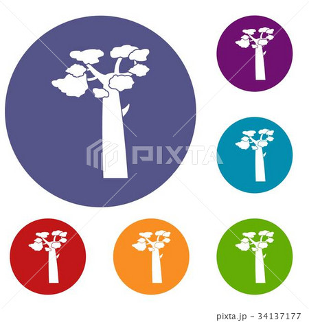 Baobab icons set 34137177