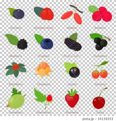 Berries icons set, cartoon style 34138353