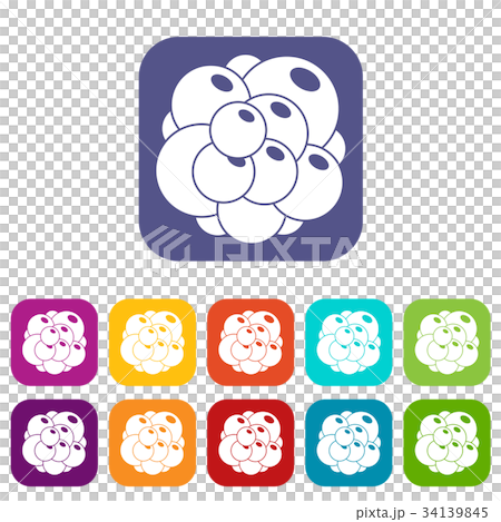 Ovary icons set Ovary icons set 34139845