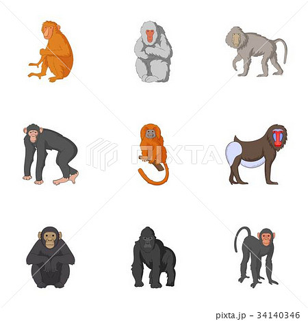 Types of orangutans icons set, cartoon style 34140346