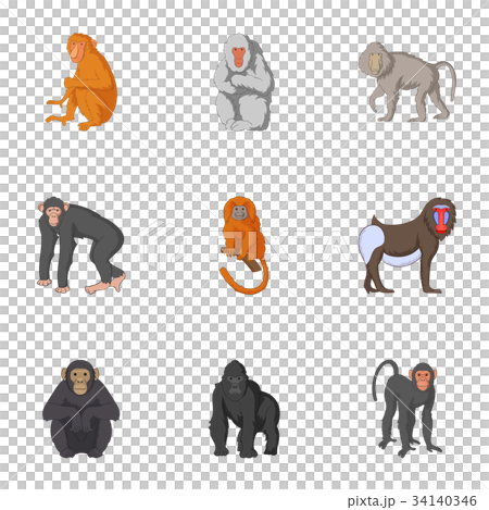 Types of orangutans icons set, cartoon style 34140346