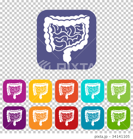 Intestines icons set 34141105