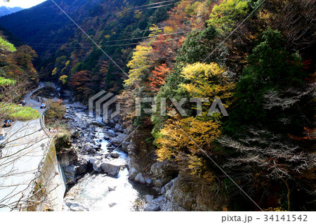 みたらい渓谷 紅葉 奈良県の写真素材