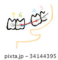 歯列 34144395