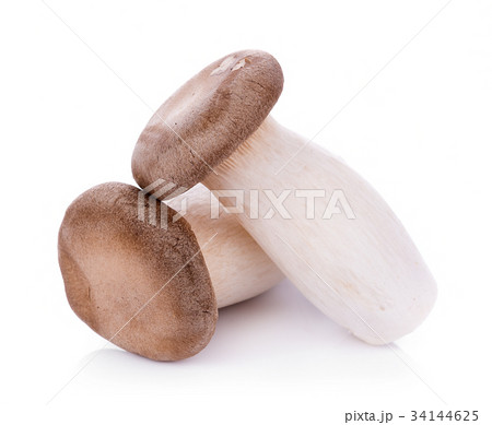 King oyster mushroom Pleurotus eryngii on white King oyster mushroom Pleurotus eryngii on white 34144625