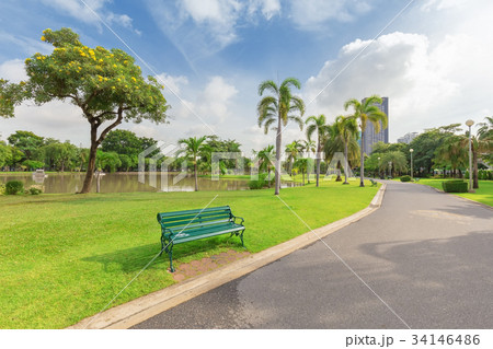 Green Chair in Chatuchak Park 34146486