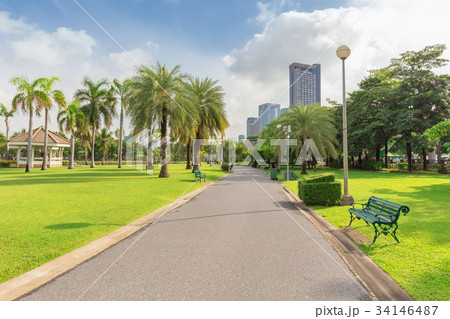 Green Chair in Chatuchak Park 34146487