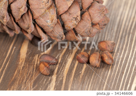 Cedar cone and nuts Cedar cone and nuts 34146606