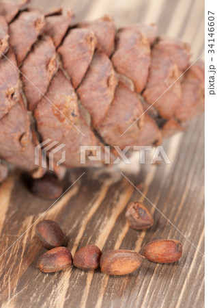 Cedar cone and nuts 34146607