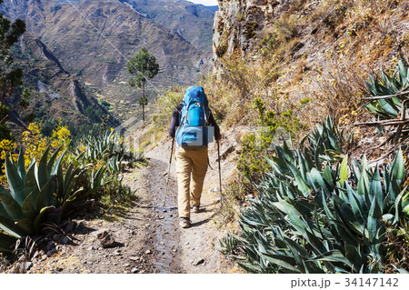 Hike in Peru 34147142