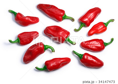 Gorria Espelette short peppers, paths, top view 34147473