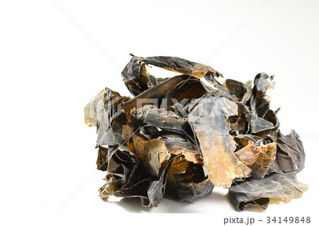 羅臼昆布雑葉 34149848