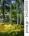 三千院 34150550