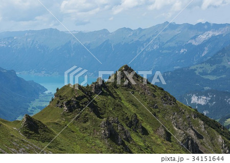 Swiss Alps  34151644