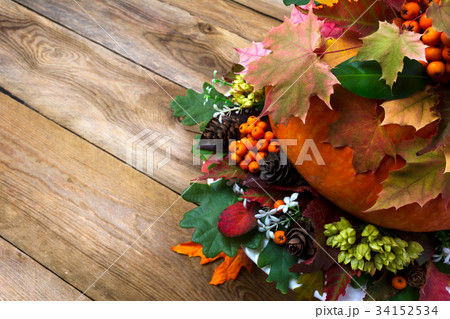 Fall background with vegetables, berries  34152534