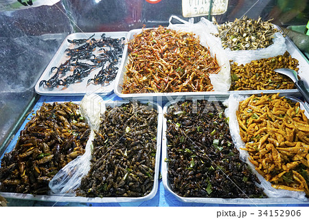 昆虫食 Entomophagy 昆虫食 Entomophagy 34152906