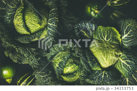 Raw fresh green cabbage texture and background Raw fresh green cabbage texture and background 34153753