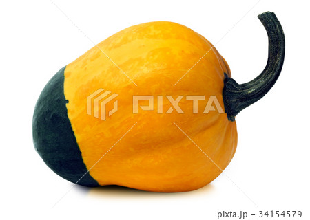 Decorative Pumpkin Isolated on White Decorative Pumpkin Isolated on White 34154579