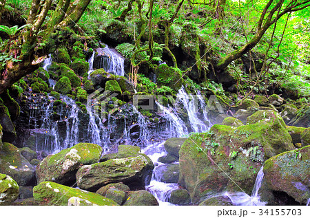 鳥海山 元滝伏流水 鳥海山 元滝伏流水 34155703