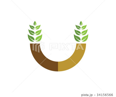 Agriculture wheat Logo Template Agriculture wheat Logo Template 34156566