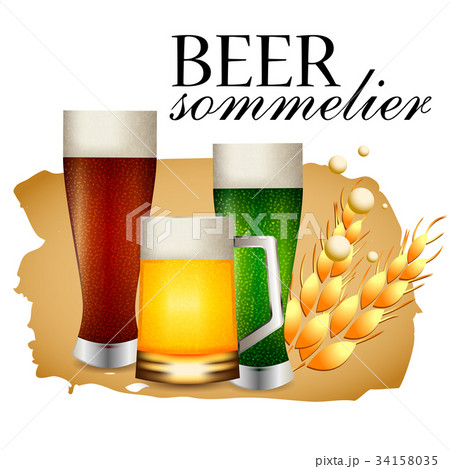 Beer sommelier banner 34158035