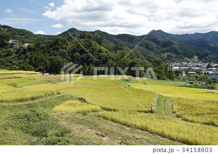寺坂棚田(横瀬町) 寺坂棚田(横瀬町) 34158603