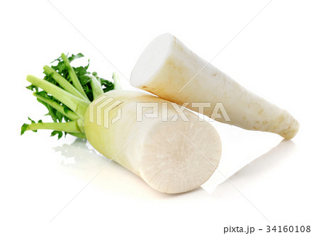 fresh white radish isolated on white background 34160108