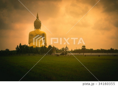 The Biggest Buddha statue at sunset in temple, The Biggest Buddha statue at sunset in temple, 34160355