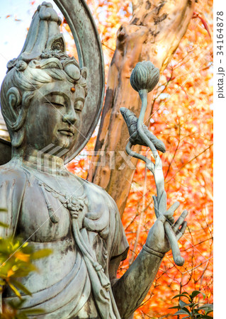 妙心寺退蔵院の観音像 34164878