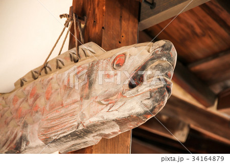 妙心寺退蔵院の開梛 妙心寺退蔵院の開梛 34164879