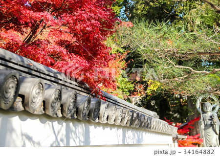 妙心寺退蔵院、築地塀と紅葉と水子地蔵 34164882