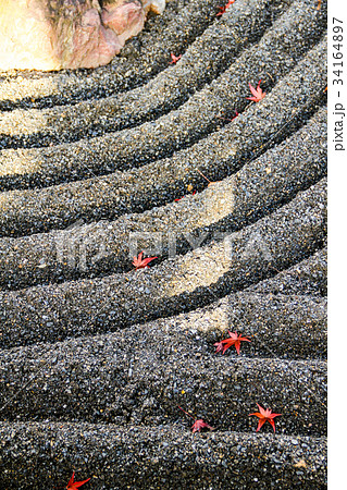 妙心寺退蔵院、陰陽の庭の枯山水と楓の落葉 34164897