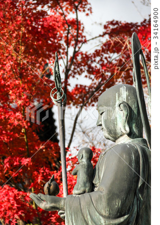 妙心寺退蔵院、水子地蔵に紅葉 34164900