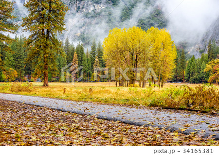Yosemite Valley at cloudy autumn morning Yosemite Valley at cloudy autumn morning 34165381