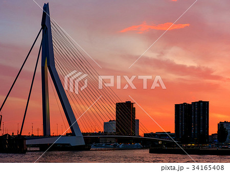 Rotterdam city with Erasmus bridge at sunset 34165408