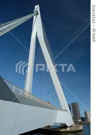 Rotterdam cityscape with Erasmus bridge Rotterdam cityscape with Erasmus bridge 34165432