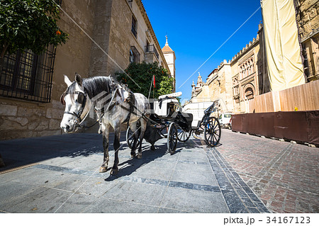 Traditional Horse and Cart at Cordoba Spain  34167123