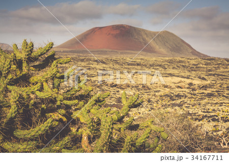 Timanfaya National Park in Lanzarote, Canary Timanfaya National Park in Lanzarote, Canary 34167711