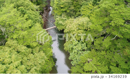 内子町小田深山渓谷の空撮、夏の終わりに 内子町小田深山渓谷の空撮、夏の終わりに 34169239