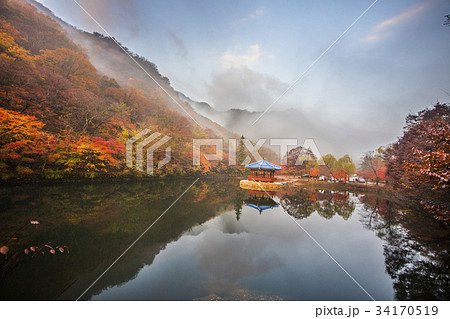 秋 内蔵寺 オファジョン 34170519