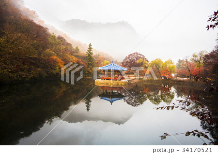 秋 内蔵寺 オファジョン 34170521