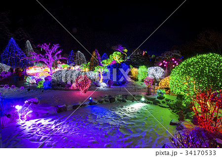 京畿道 キョンギド 木 34170533