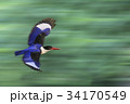 モーション 飛行 横顔 34170549