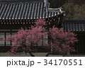 祠堂 牙山市 韓国 34170551