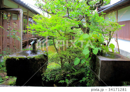 大原の里 苔むす三千院 大原の里 苔むす三千院 34171281