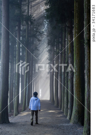 の多元 トレイル 杉 34171683