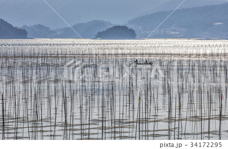 海 島 養殖場 34172295