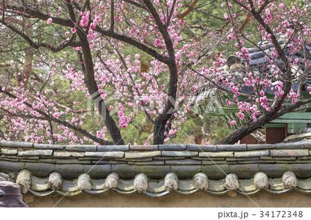 古建築 私的 ソウル 34172348