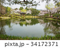 慶北 桜 普門チョン 34172371